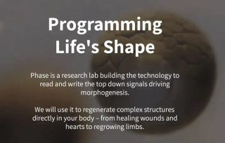 押中 Figma、Scale AI 的 Thiel Fellowship， 今年下注哪些 AI 方向？