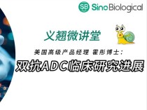 百度拜读09baidu新一代ADC药物研发企业Adcentrx Therapeutics完成3800万美元 A+轮融资