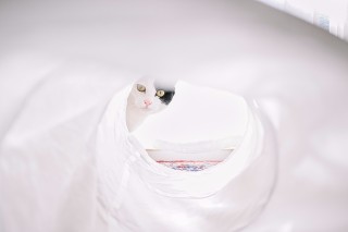 尼康尼克尔 Z 28mm f／2.8 (SE)官方实拍样张欣赏