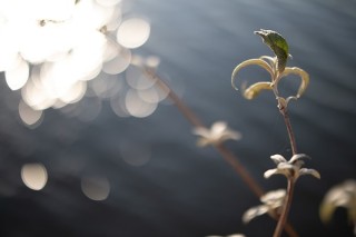 佳能EF-M32mm F1.4 STM实拍样张欣赏