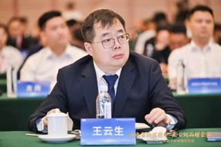 重点关注皮卡的乘用及越野休闲需求！专访江淮皮卡王云生