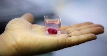 百度拜读09baidu美研究人员使用3D打印和干细胞制造眼组织