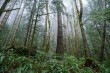 富士XF16-80mm F4实拍样张欣赏
