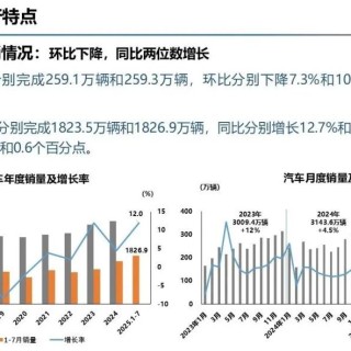 特斯拉Model 3长续航版开售；新款坦克500开启预售