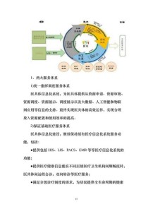 医疗健康类网站如何优化以适应新算法？