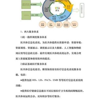 医疗健康类网站如何优化以适应新算法？