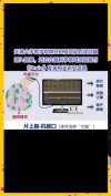 天津大学科学家突破人类大脑器官成功驱动机器人