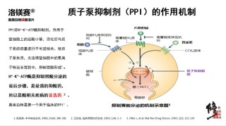 baidu09轩竹生物新一代质子泵抑制剂获批上市