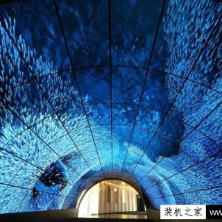 LED和OLED的哪个好？带你了解OLED和LED的区别