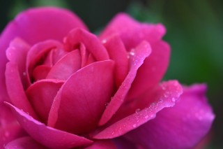 尼康尼克尔 Z 100-400mm f／4.5-5.6 VR S官方实拍样张欣赏