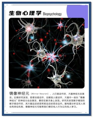 科学家研发出全新无透镜相机 可监测移动物体的神经元活动