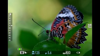 富士速度旗舰X-H2S固件更新版本3.00