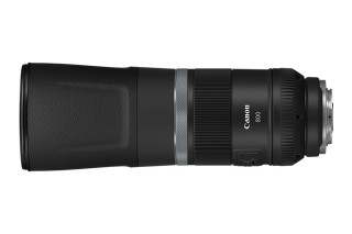 佳能RF800mm F11 IS STM实拍样张欣赏