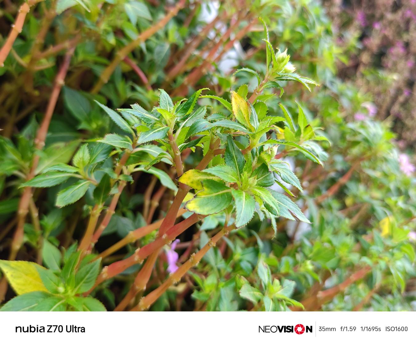 努比亚Z70 Ultra评测：未来已来  第20张