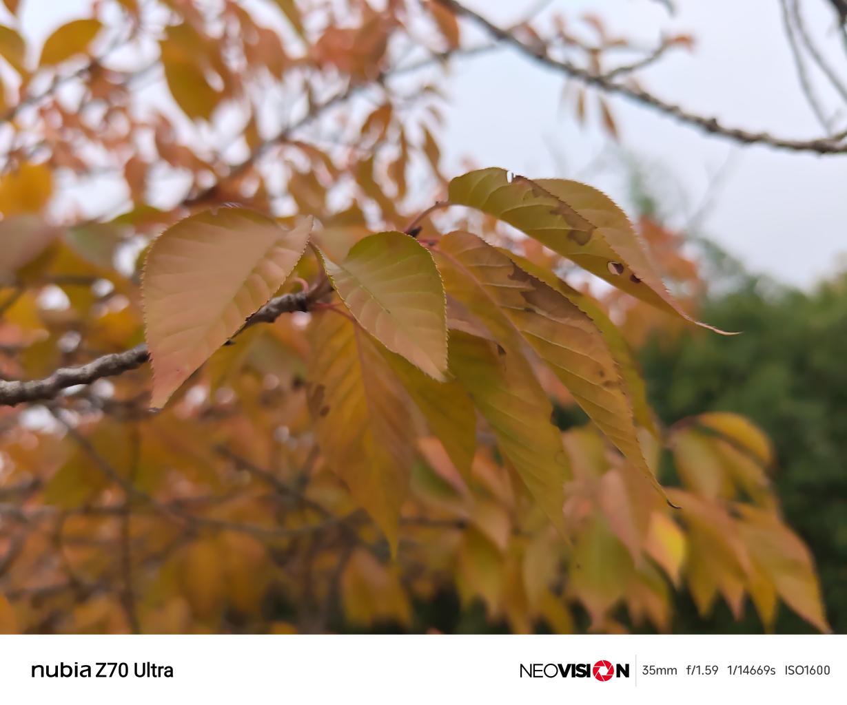 努比亚Z70 Ultra评测：未来已来  第21张