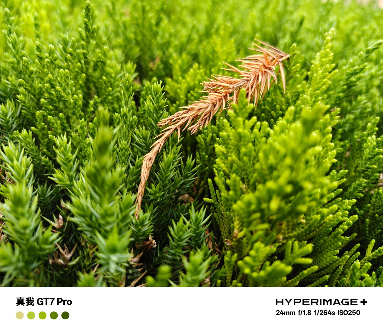 真我GT7 Pro评测：始于性能 不止性能  第17张