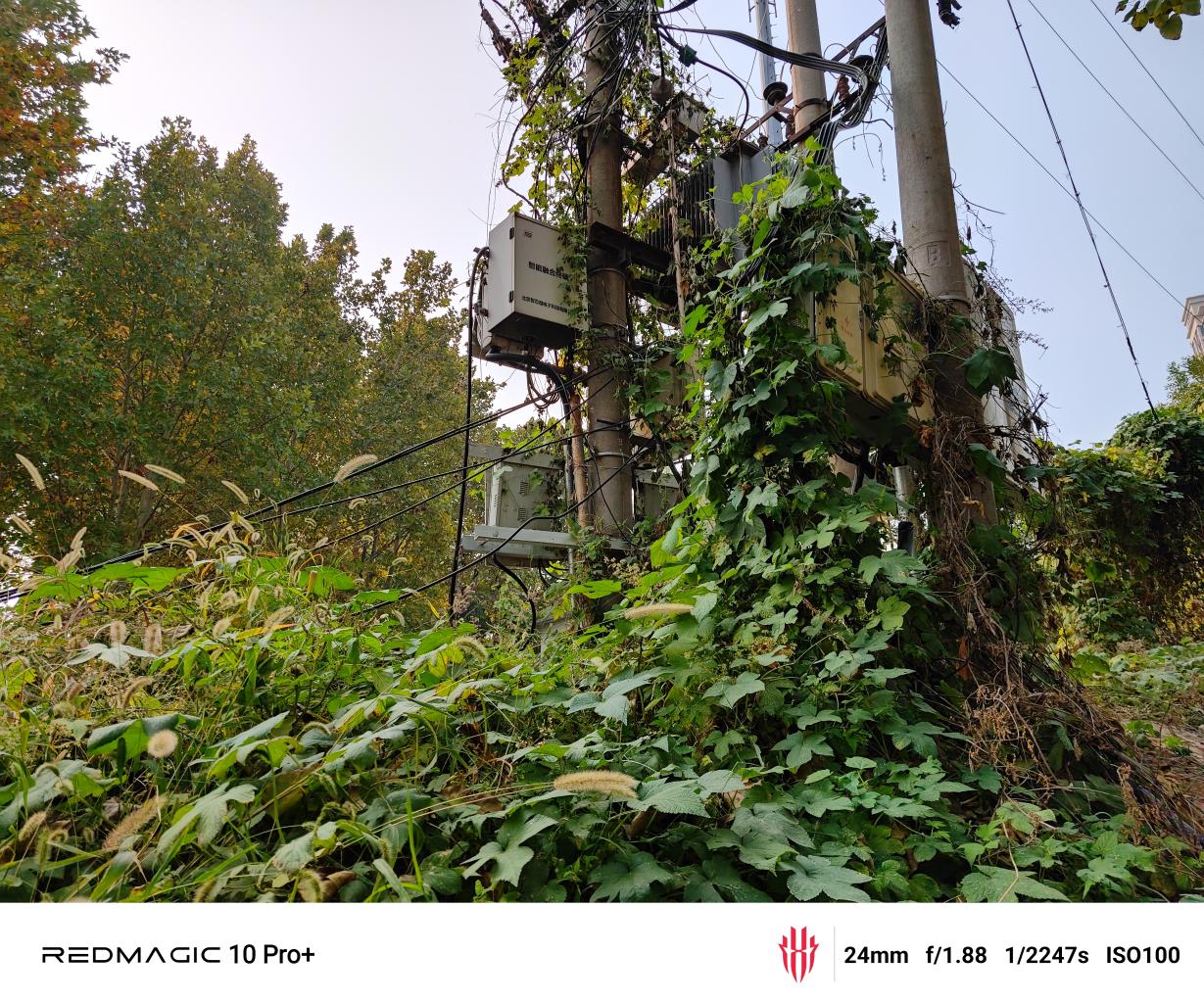 红魔10 Pro+评测：游戏手机的完美答卷  第35张