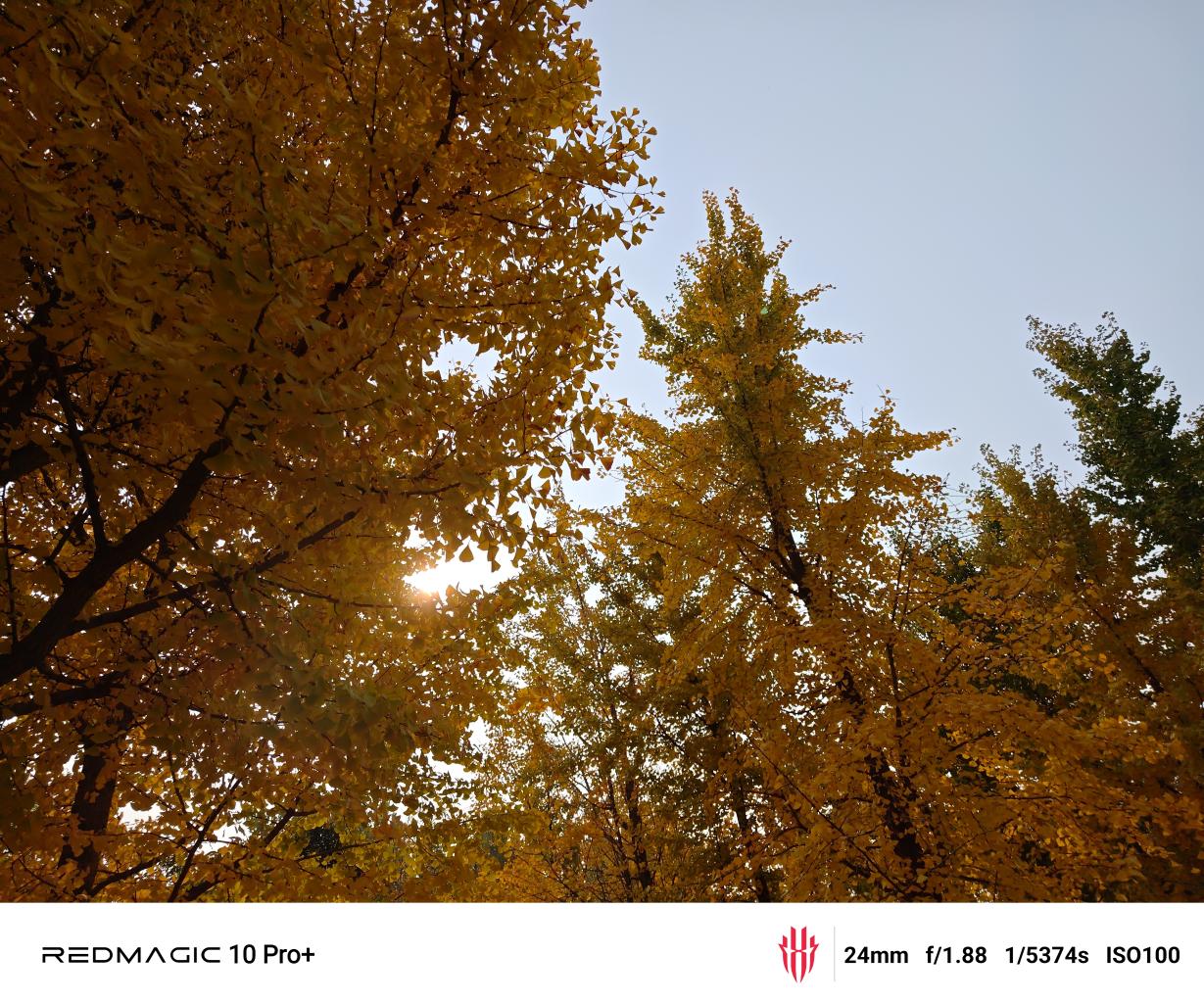 红魔10 Pro+评测：游戏手机的完美答卷  第37张