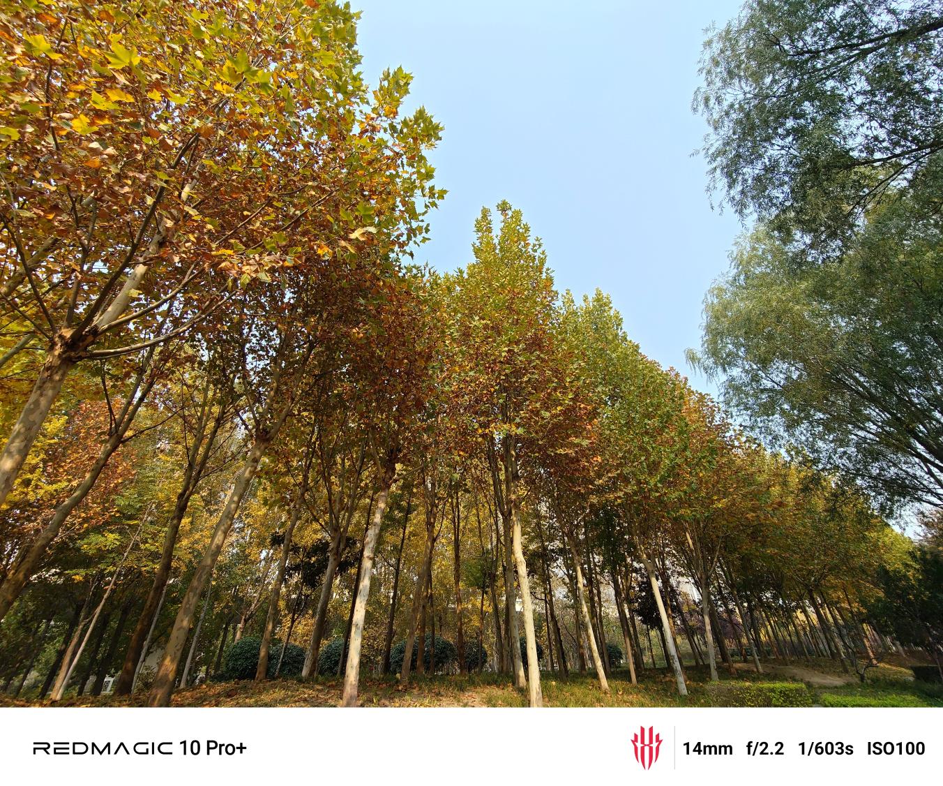 红魔10 Pro+评测：游戏手机的完美答卷  第39张