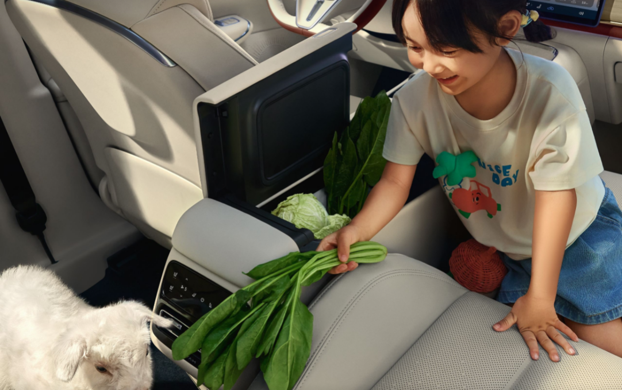 岚图知音预售22万起：鸿蒙座舱+乾崑智驾上车  第7张