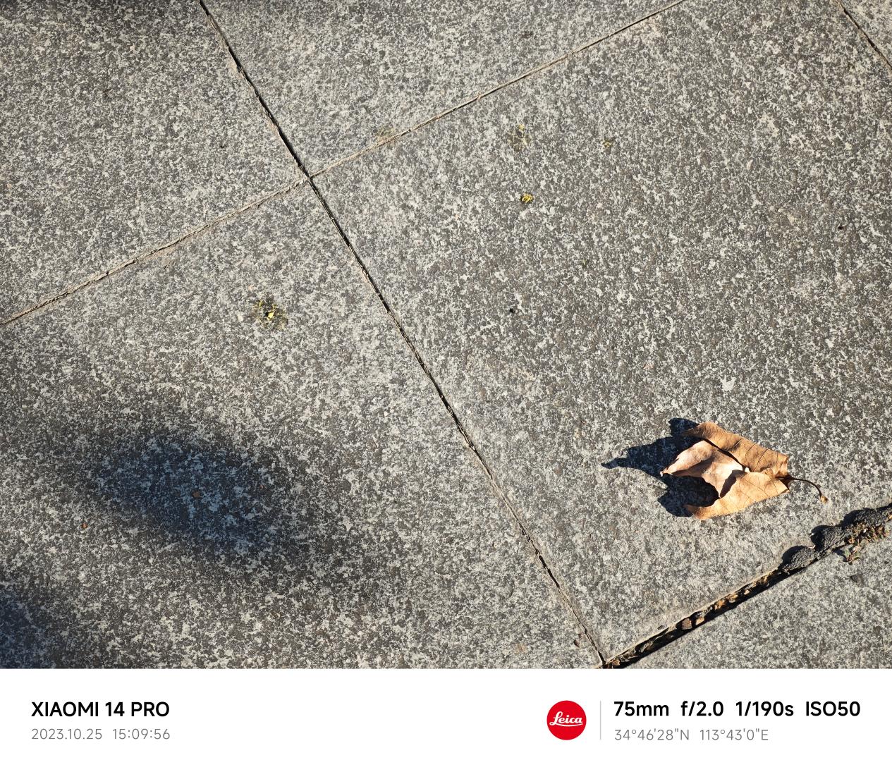 小米14 Pro评测：百尺竿头 更进一步  第29张
