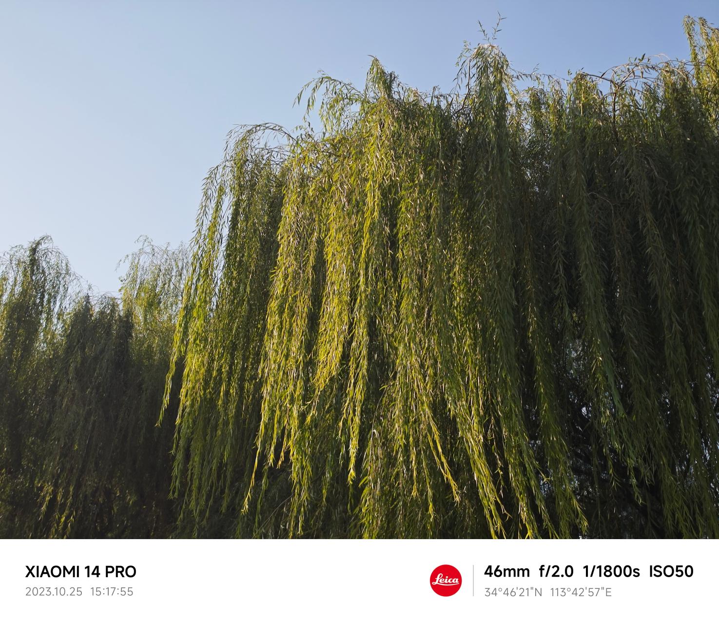小米14 Pro评测：百尺竿头 更进一步  第32张