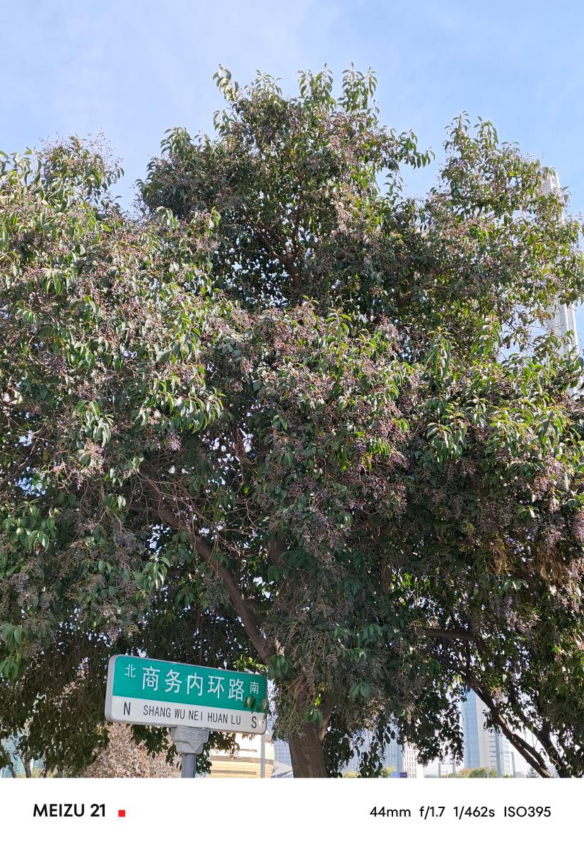 魅族21评测：精致、简洁和美  第26张