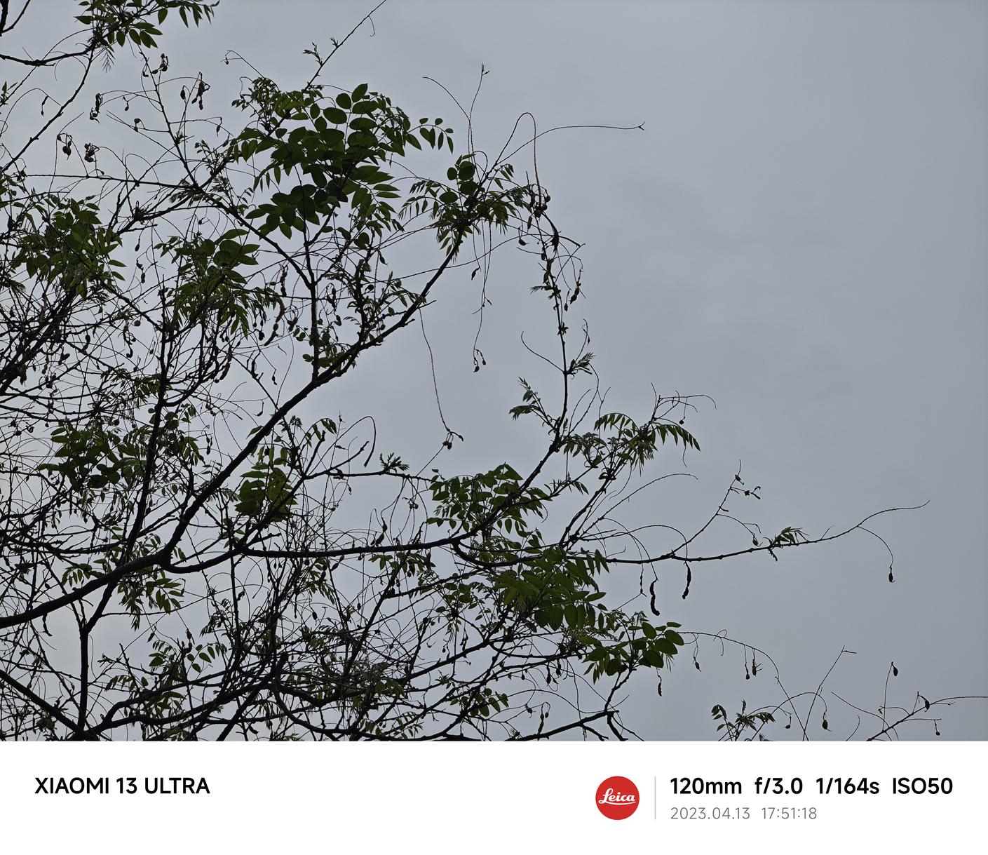 小米13 Ultra评测：重新唤醒你的拍照欲  第56张