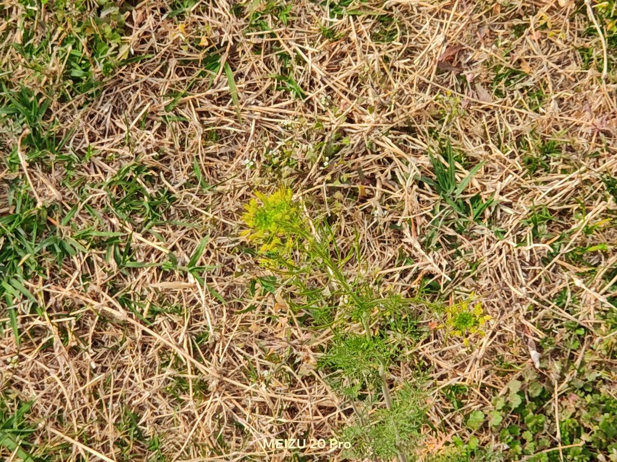 魅族20系列评测：最大的亮点是手机本身  第33张