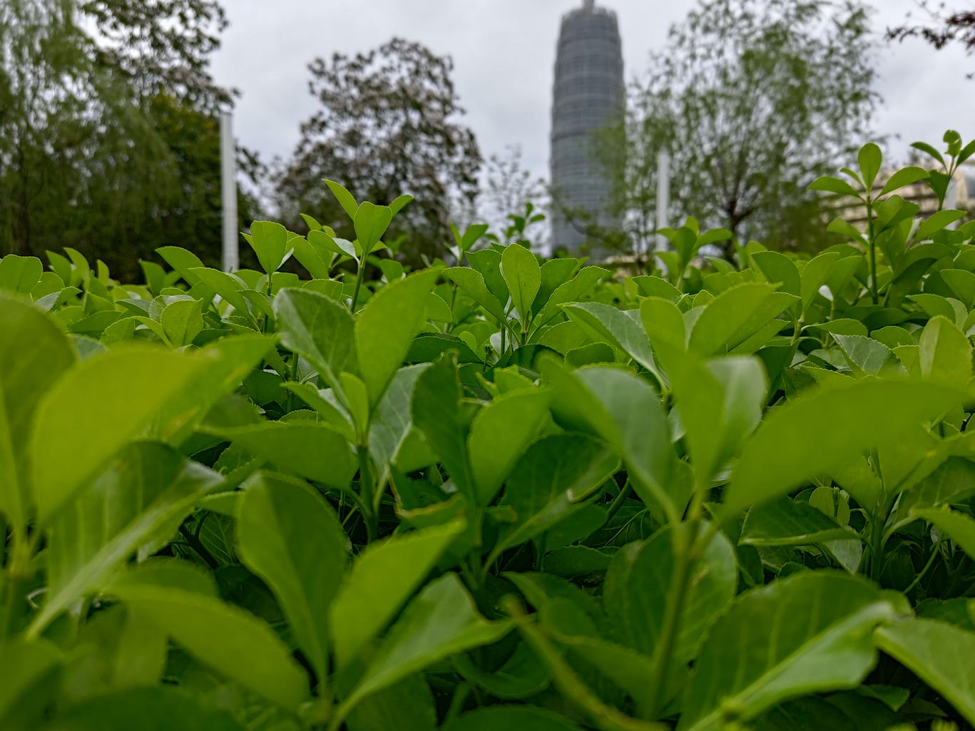 腾讯ROG 游戏手机7 Pro评测：骁龙8Gen2顶级之作 专属“外挂”再升级  第36张