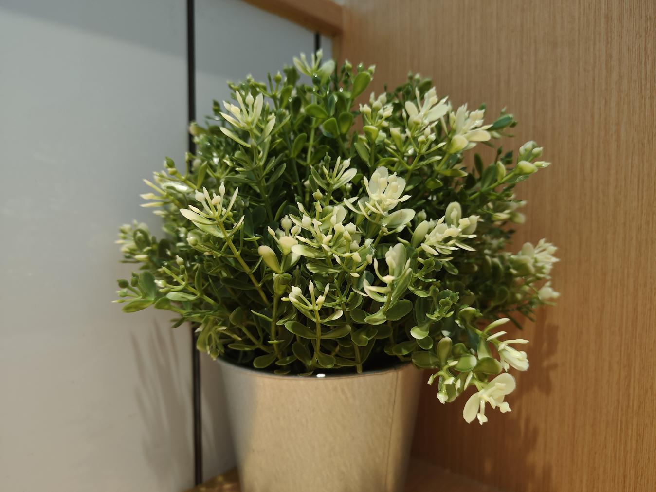 红魔8 Pro+评测：骁龙8Gen2时代的锋芒异类  第29张