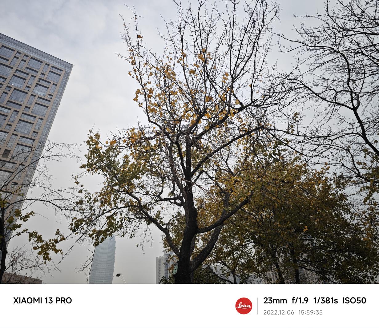 小米13 Pro评测：以旗舰之名 享超旗舰之实  第33张
