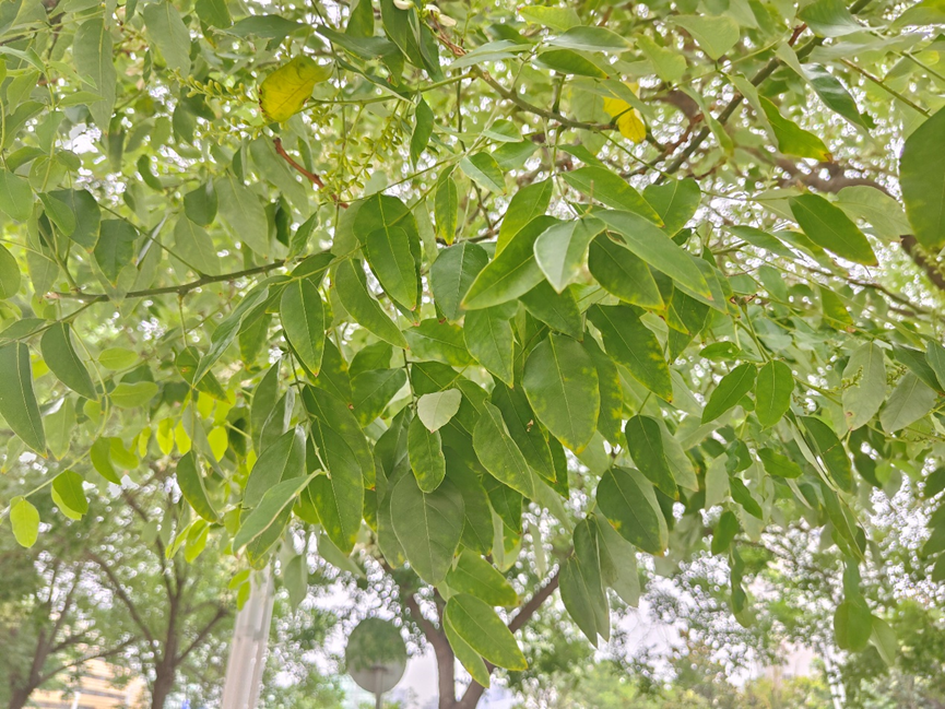 真我GT2大师探索版评测：探索的路上，不止有边框  第23张