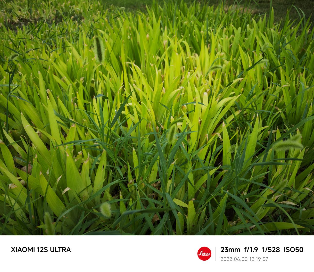 小米12S Ultra评测：移动影像的下一个时代 由此开启  第39张