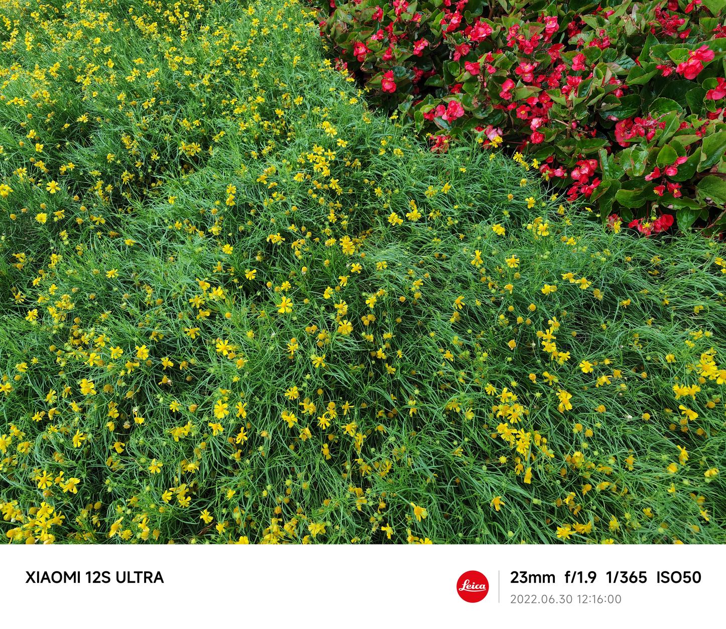 小米12S Ultra评测：移动影像的下一个时代 由此开启  第45张