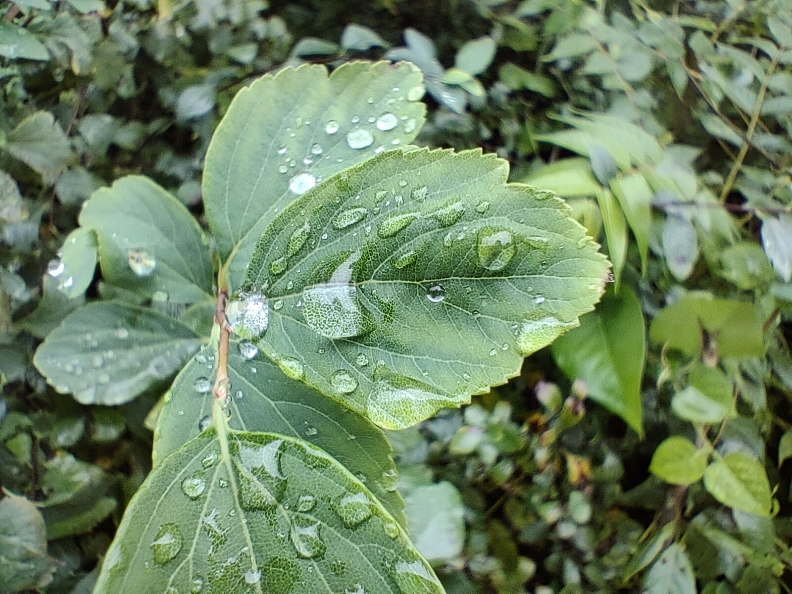 一加9RT评测：撕掉小众标签 奔向主流赛道  第42张