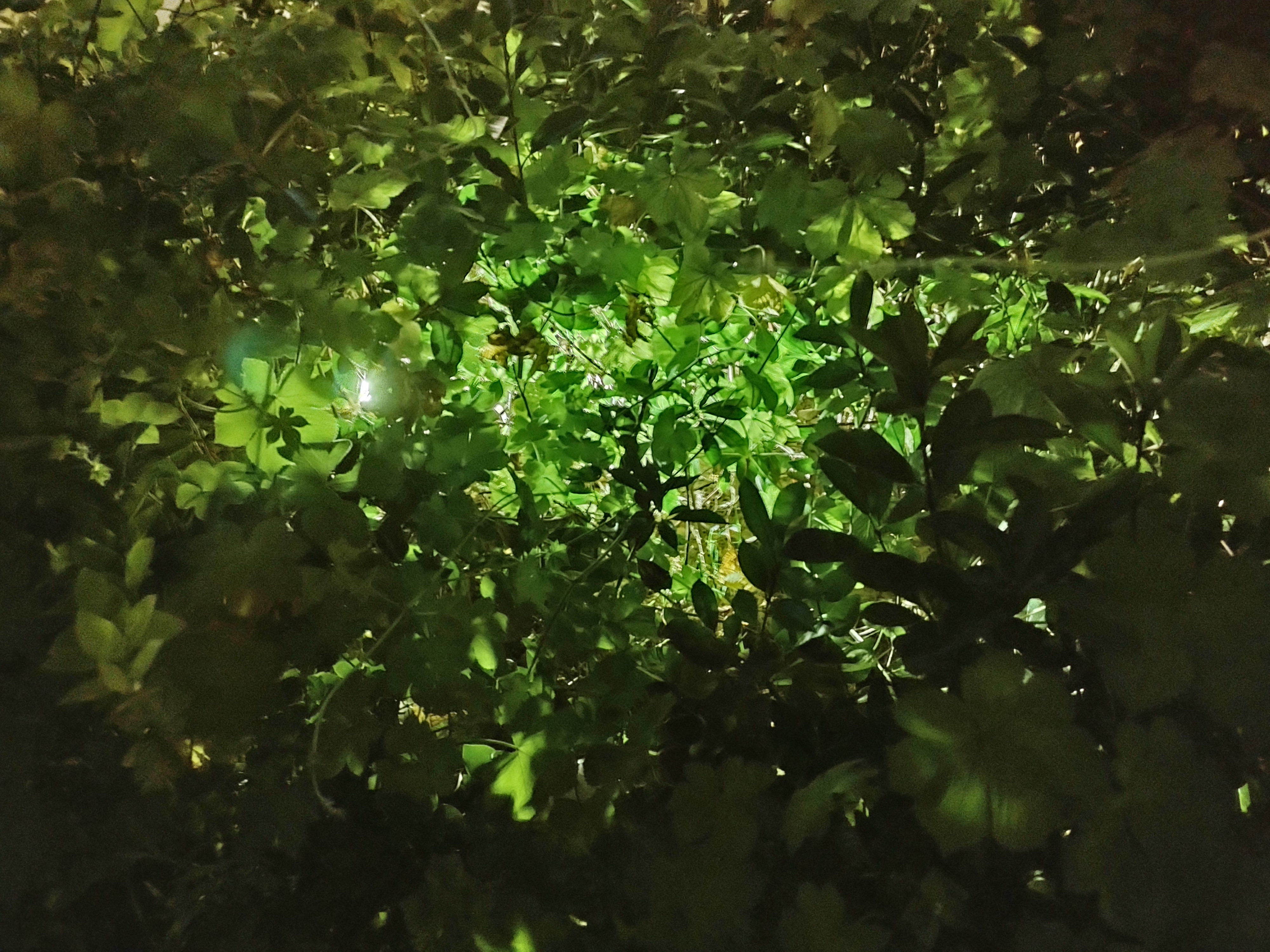 摩托罗拉edge轻奢版评测：实用为主 情怀为辅  第26张