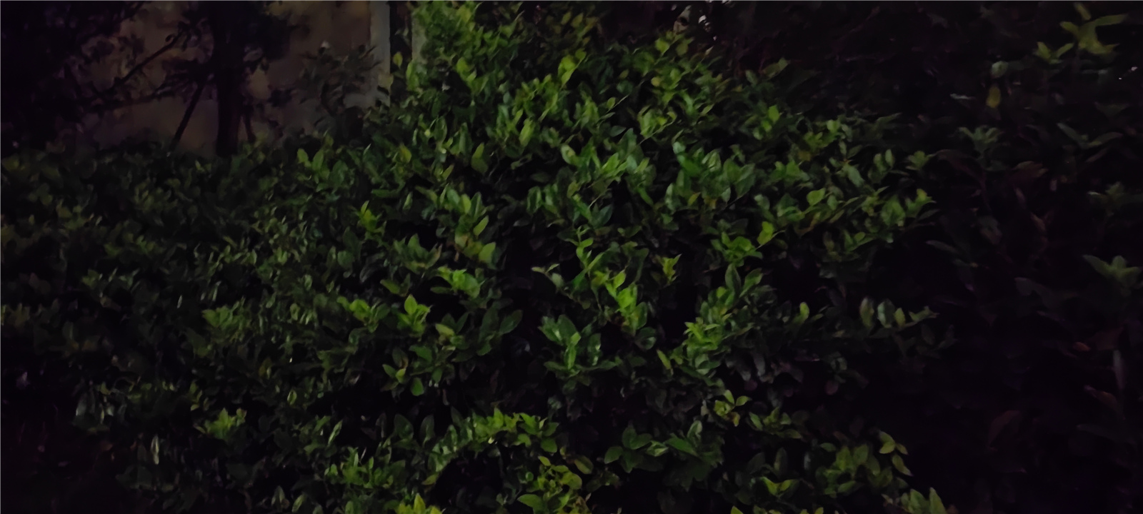 手机屏幕大圆满！小米MIX 4评测：一袭青衣尽风华  第52张