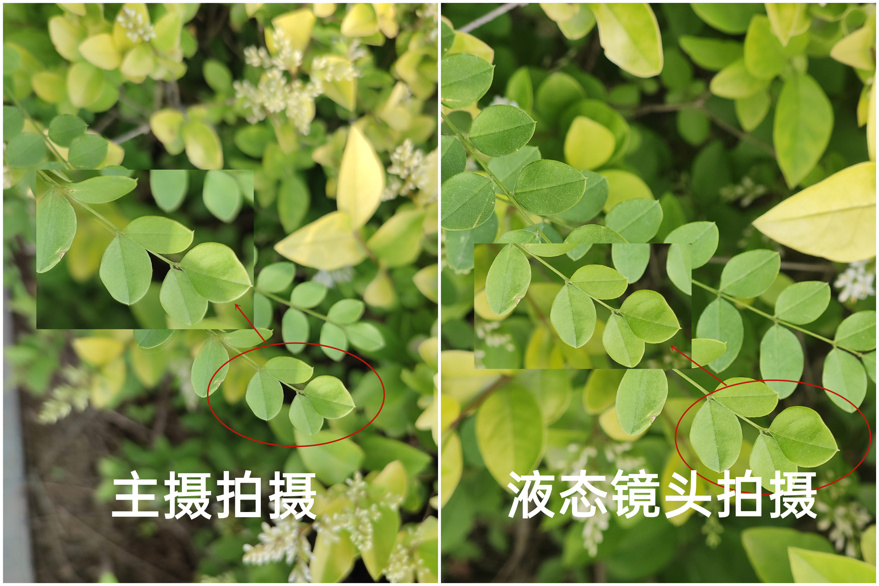 小米MIX FOLD评测：堆料一夫当关、高端之路大圆满  第31张
