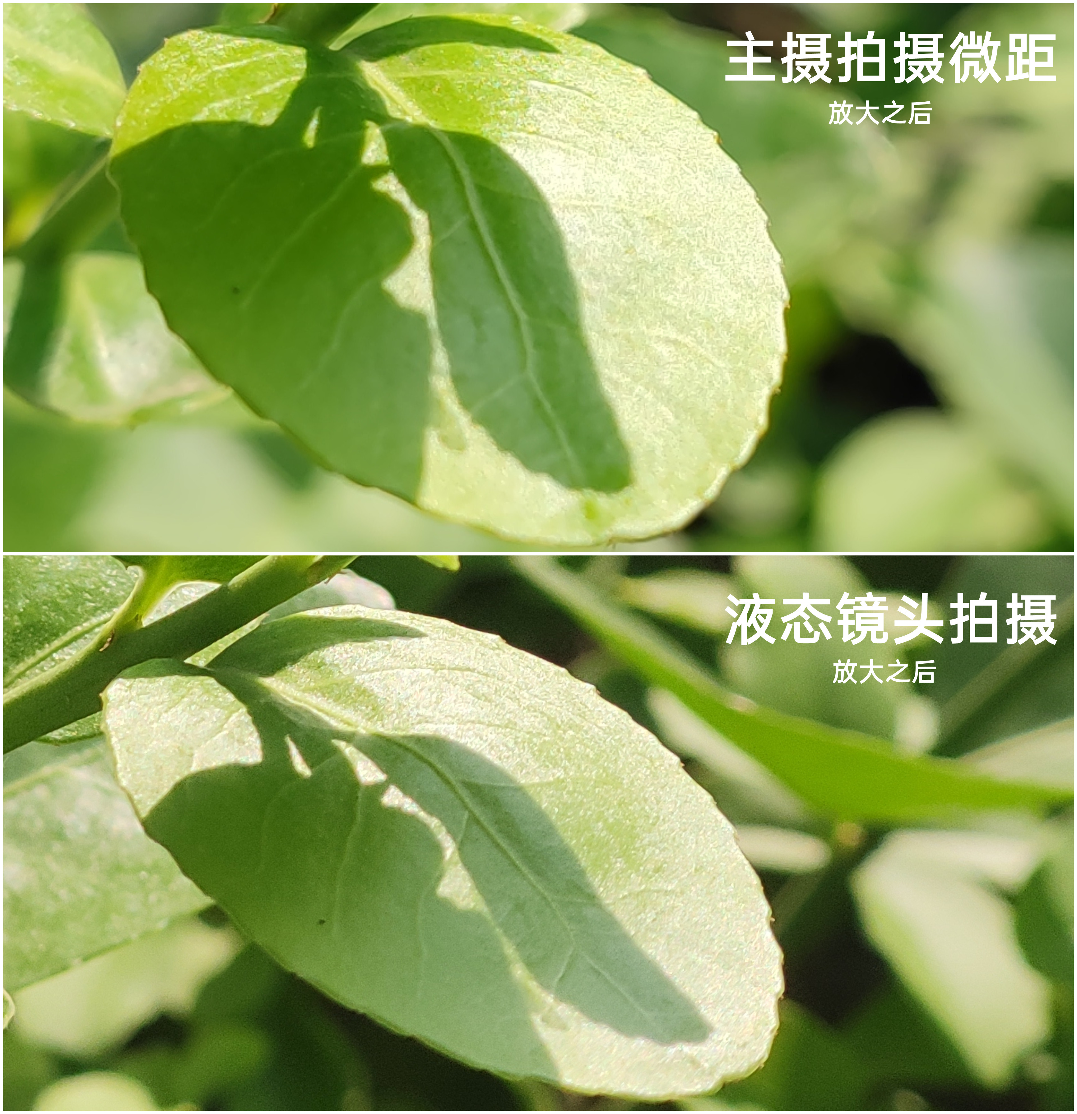 小米MIX FOLD评测：堆料一夫当关、高端之路大圆满  第34张
