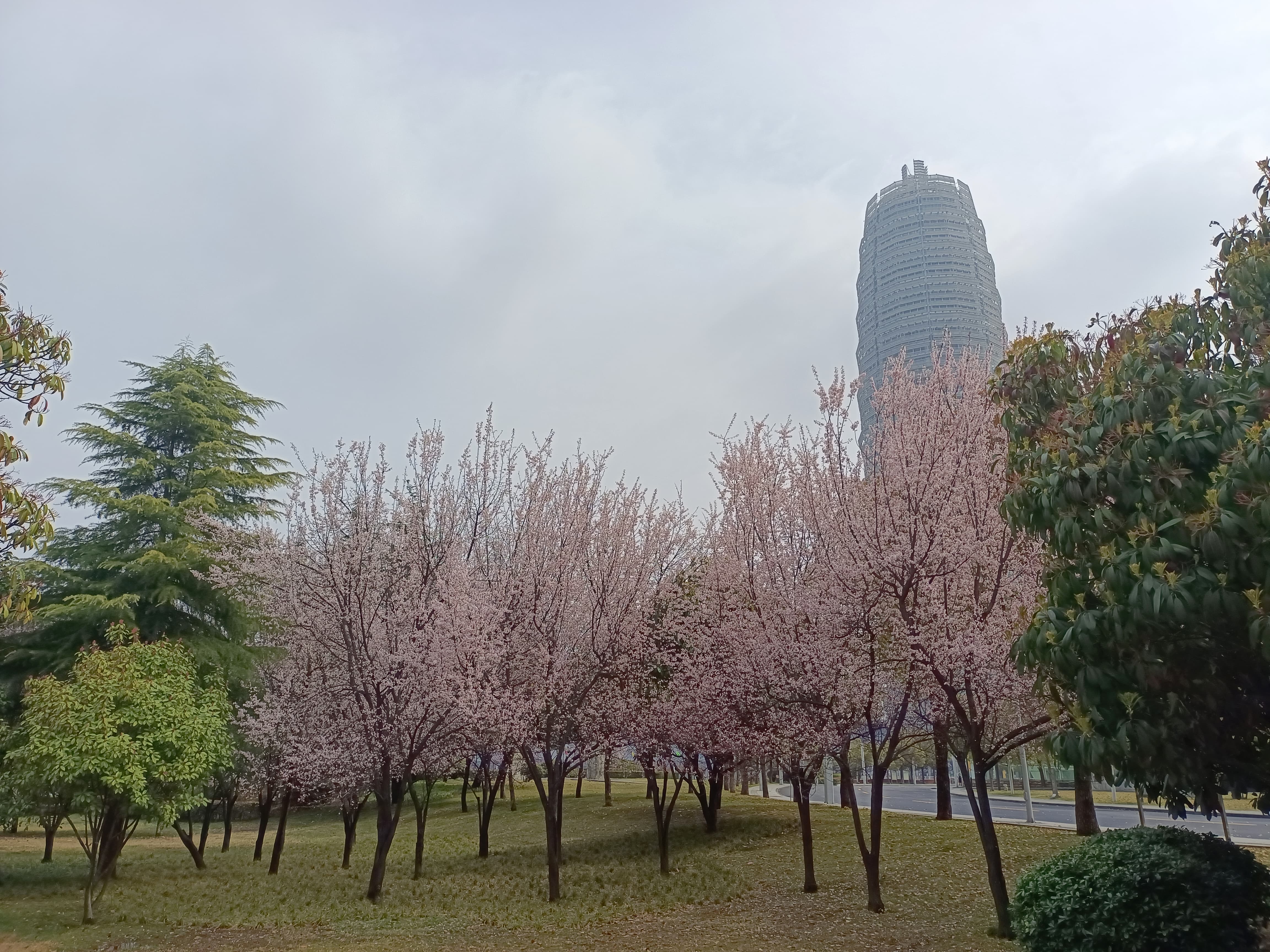 首发天玑1100跑分突破60W vivo S9这次有的聊  第23张