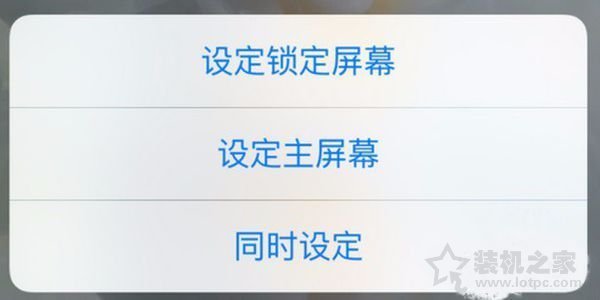苹果iphonex如何设置动态壁纸？iphonex设置live photo动态壁纸方法  第3张