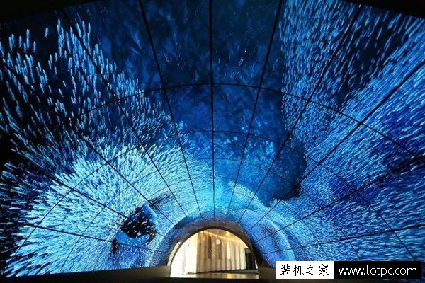 LED和OLED的哪个好？带你了解OLED和LED的区别  第1张
