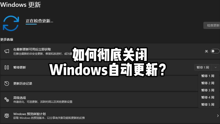 Windows update禁用不了拒绝访问怎么办？  第2张