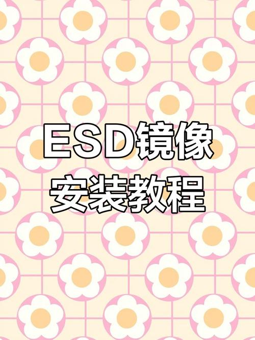 esd文件怎么在PE系统安装？PE系统安装ESD文件方法  第1张