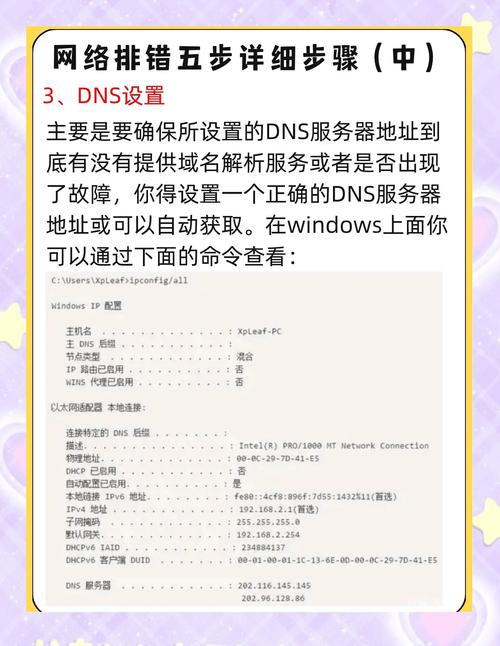 电脑Ping指令查看IP提示request time out错误怎么办？  第1张