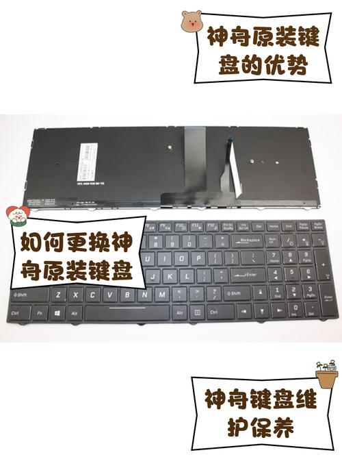 神舟电脑重装系统按F几?神舟电脑重装系统开机按什么键选择U盘启动 第2张 神舟电脑重装系统按F几?神舟电脑重装系统开机按什么键选择U盘启动 第2张