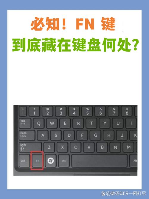 惠普笔记本如何设置fn键开启和关闭 第1张 惠普笔记本如何设置fn键开启和关闭 第1张