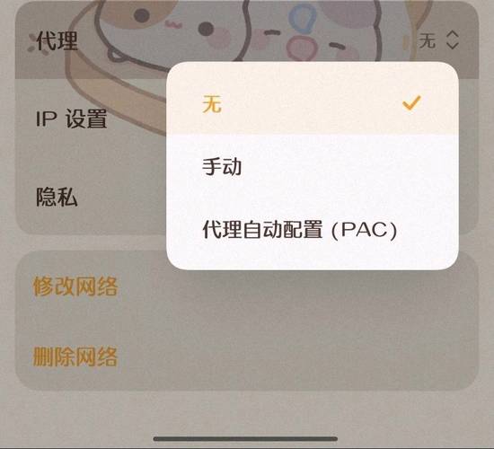 无法自动检测此网络的代理设置怎么办？  第1张