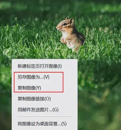 电脑中怎么将文字保存为长图片格式？  第1张